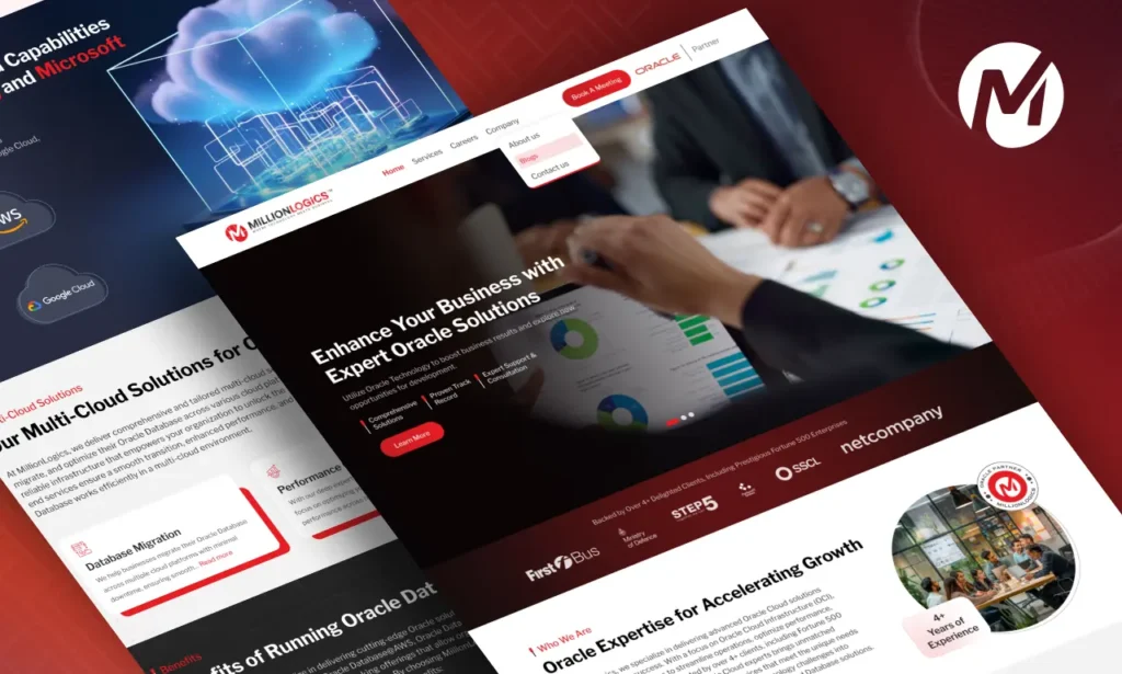 Millionlogics Overview